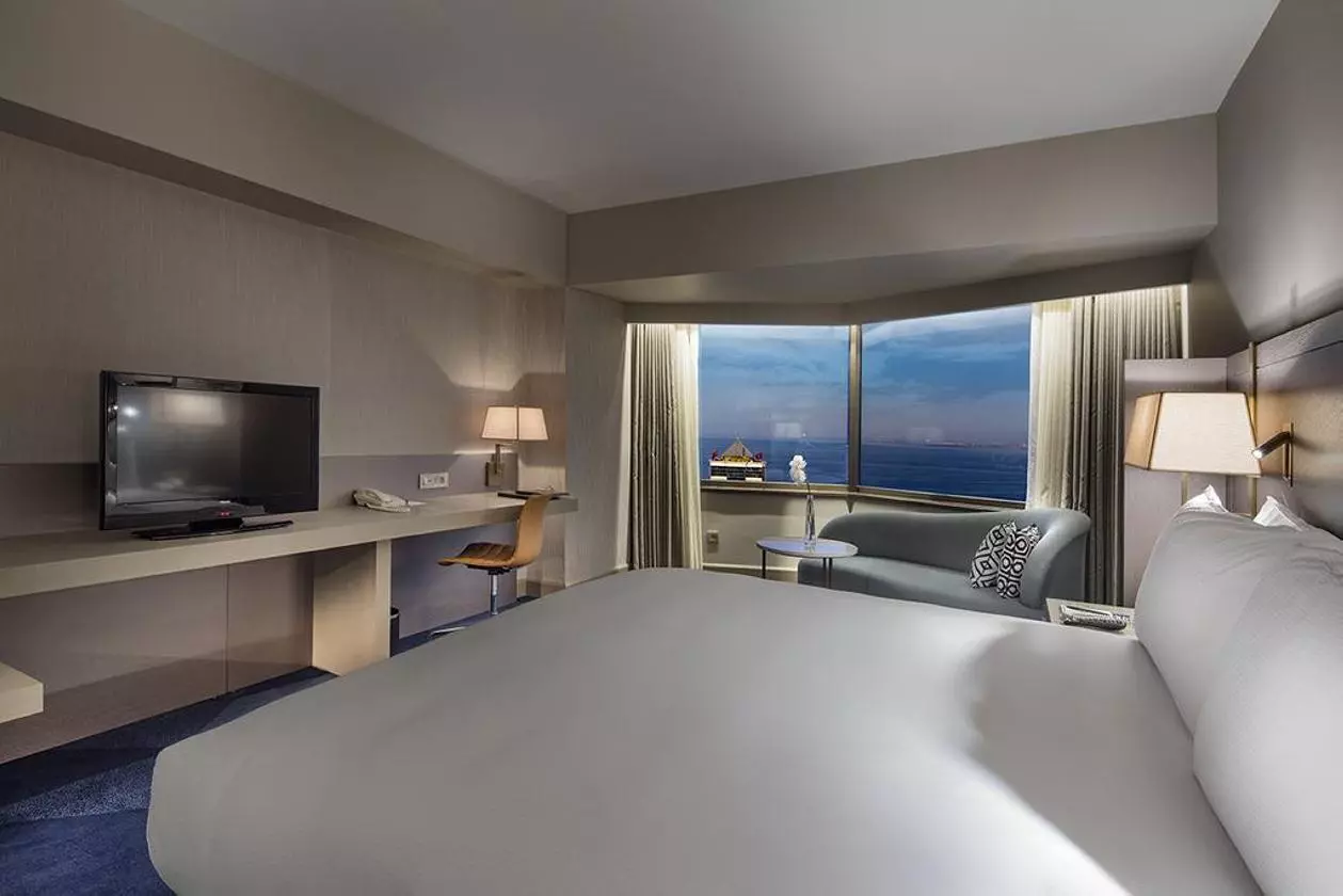 hilton_shabaviz (4).jpg